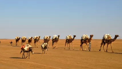 ETIOPIA DANCALIA